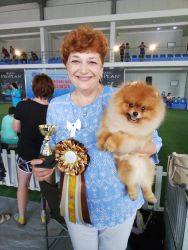 Superresults of our dogs at the dog show in Georgia