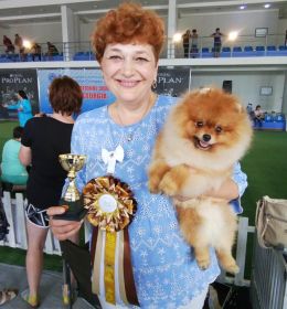 Superresults of our dogs at the dog show in Georgia
