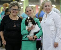 dog show "Golden-headed Moscow" new J Club Winner