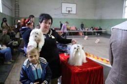 Successful weekend at regional Dog Show "Kamenskyie vstrechi"